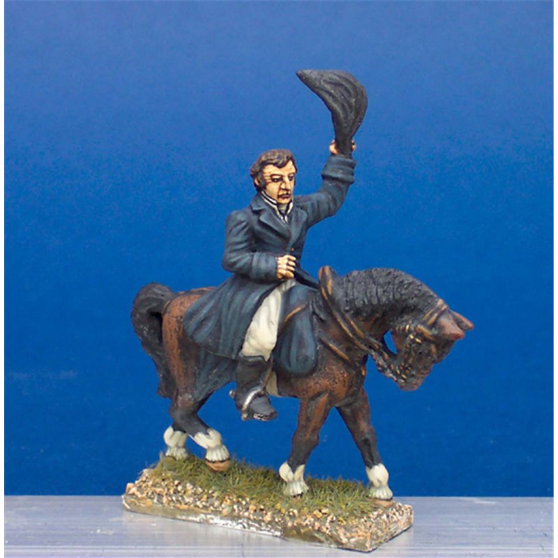 Duke of Wellington  (Horse included)