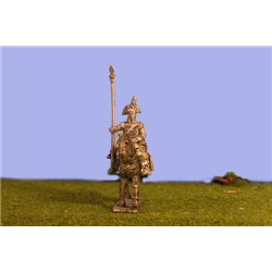 Peninsula Heavy Cavalry (Dragoons) Standard Bearer in Bicorne