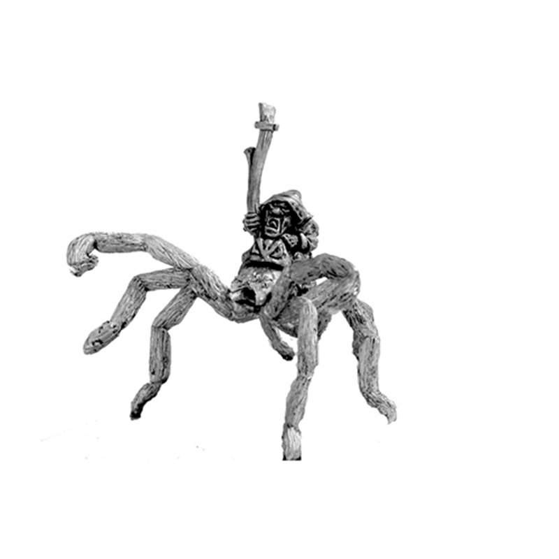 Goblin Sorcerer on Giant Spider