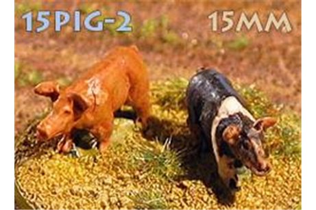 Domestic pigs (6)