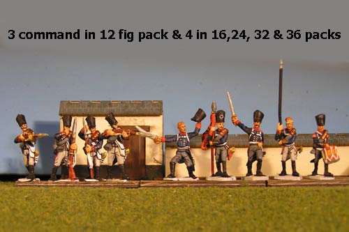 Prussian Line Infantry Firing Line with Command 12 figs