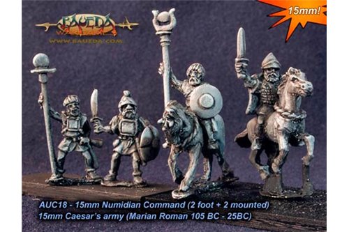 Numidian command (2 foot + 2 mounted)