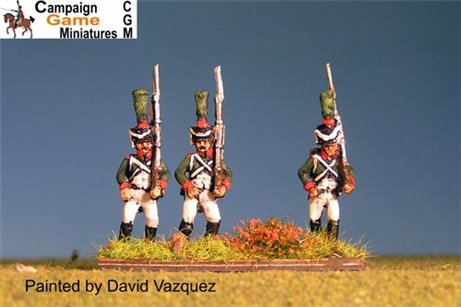 Italian Guard "Conscripts" (Reale) in Shako Marching.