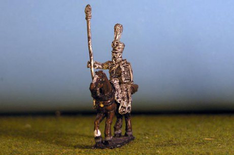 Hussar Standard Bearer Plume & Cockade