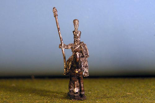 Hussar Standard Bearer Plume & Cockade