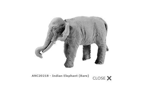 Indian elephant (plain) (2)